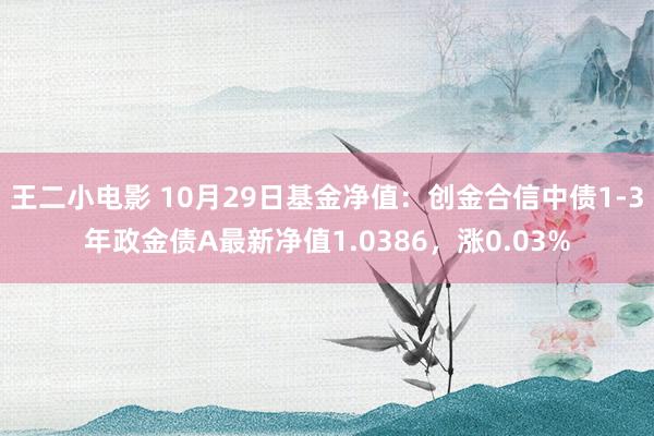 王二小电影 10月29日基金净值：创金合信中债1-3年政金债A最新净值1.0386，涨0.03%