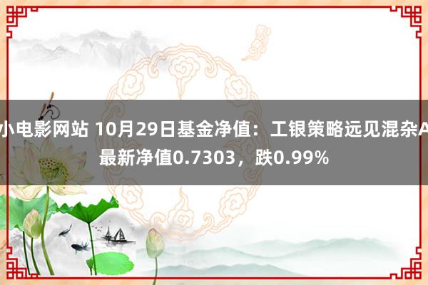 小电影网站 10月29日基金净值：工银策略远见混杂A最新净值0.7303，跌0.99%