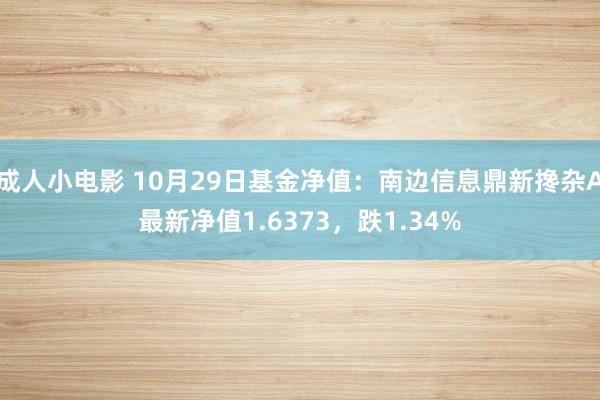 成人小电影 10月29日基金净值：南边信息鼎新搀杂A最新净值1.6373，跌1.34%