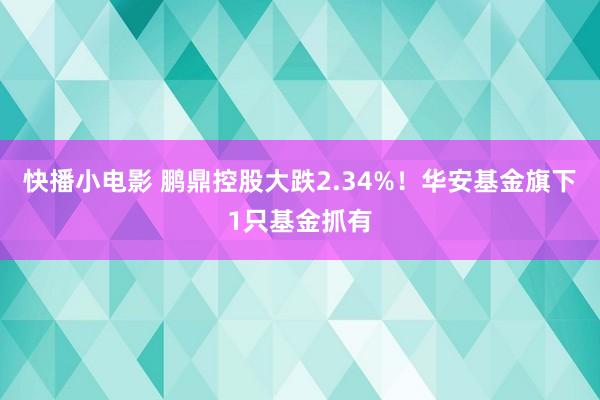 快播小电影 鹏鼎控股大跌2.34%！华安基金旗下1只基金抓有