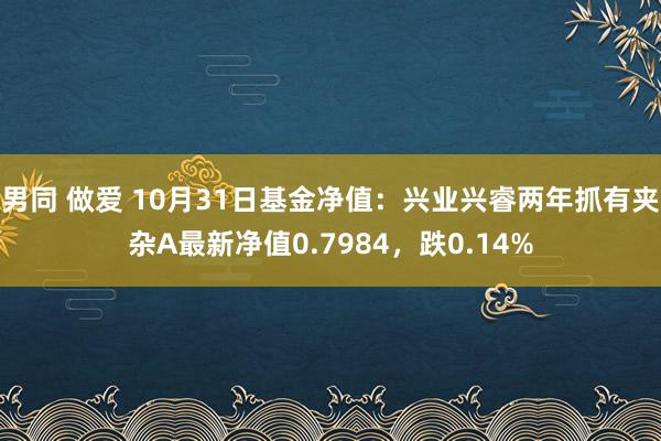 男同 做爱 10月31日基金净值：兴业兴睿两年抓有夹杂A最新净值0.7984，跌0.14%