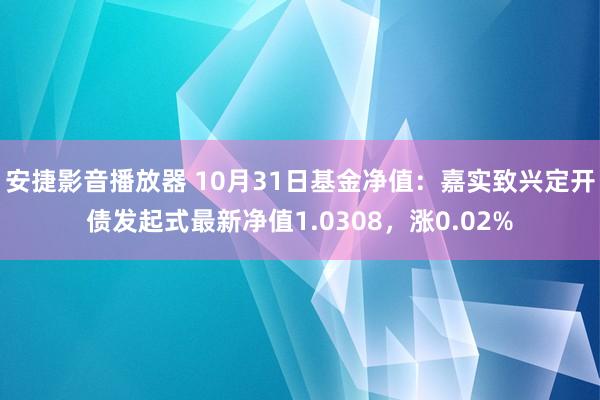 安捷影音播放器 10月31日基金净值：嘉实致兴定开债发起式最新净值1.0308，涨0.02%