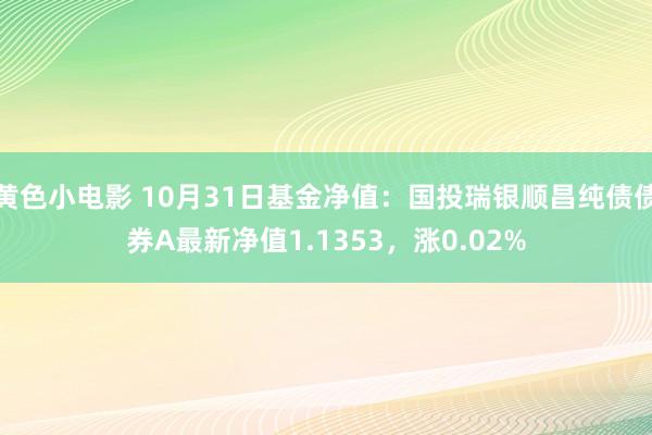 黄色小电影 10月31日基金净值：国投瑞银顺昌纯债债券A最新净值1.1353，涨0.02%