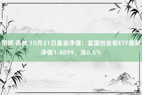 捆绑 调教 10月31日基金净值：富国创业板ETF最新净值1.4899，涨0.6%