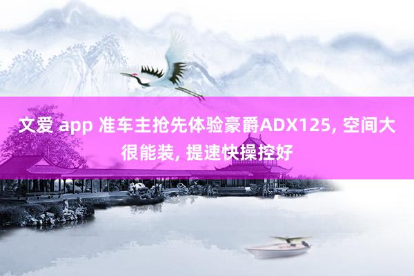 文爱 app 准车主抢先体验豪爵ADX125, 空间大很能装, 提速快操控好