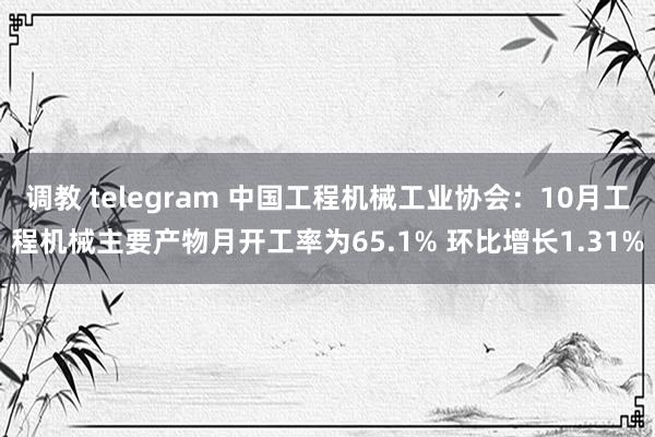 调教 telegram 中国工程机械工业协会：10月工程机械主要产物月开工率为65.1% 环比增长1.31%