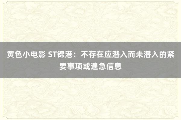 黄色小电影 ST锦港：不存在应潜入而未潜入的紧要事项或遑急信息