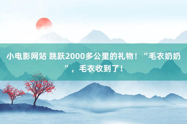 小电影网站 跳跃2000多公里的礼物！“毛衣奶奶”，毛衣收到了！