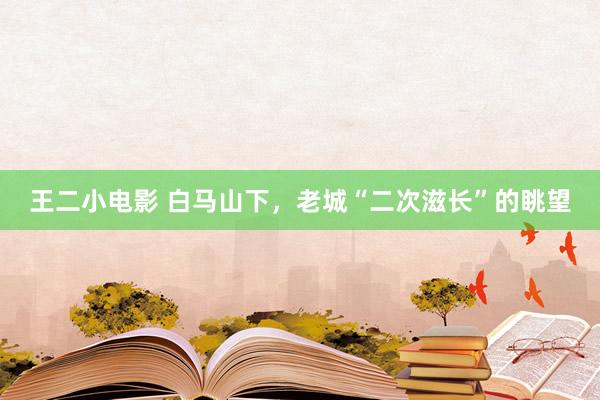 王二小电影 白马山下，老城“二次滋长”的眺望