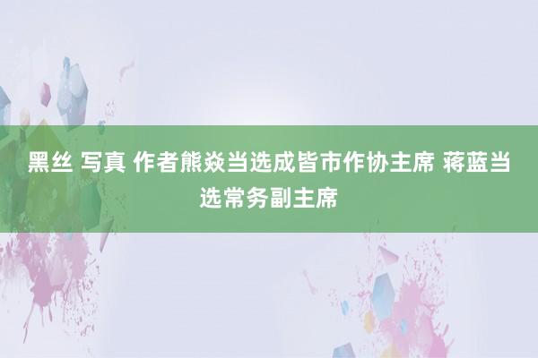 黑丝 写真 作者熊焱当选成皆市作协主席 蒋蓝当选常务副主席