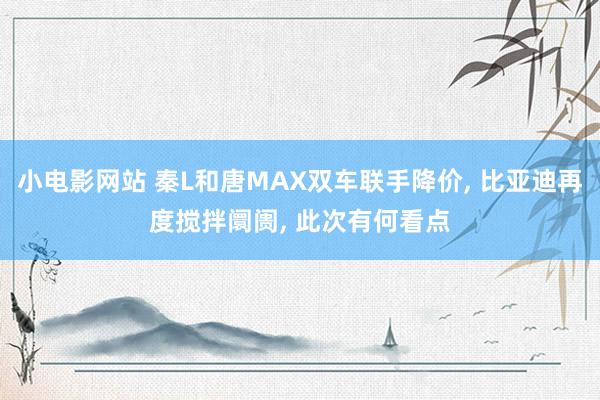 小电影网站 秦L和唐MAX双车联手降价， 比亚迪再度搅拌阛阓， 此次有何看点