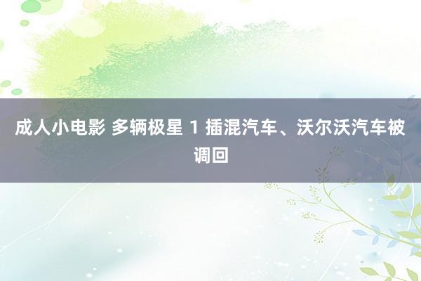 成人小电影 多辆极星 1 插混汽车、沃尔沃汽车被调回