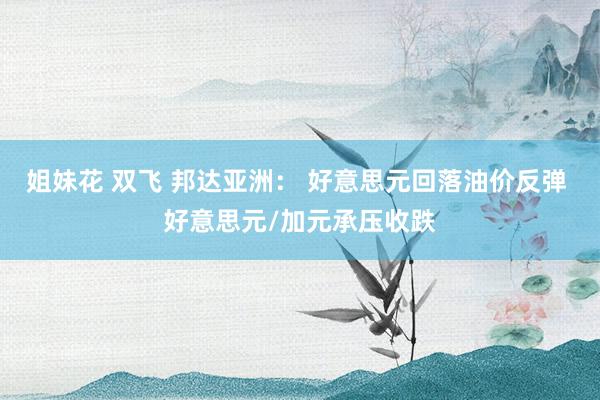 姐妹花 双飞 邦达亚洲： 好意思元回落油价反弹 好意思元/加元承压收跌