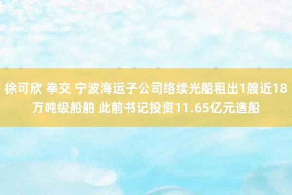 徐可欣 拳交 宁波海运子公司络续光船租出1艘近18万吨级船舶 此前书记投资11.65亿元造船