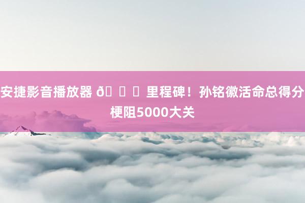 安捷影音播放器 😎里程碑！孙铭徽活命总得分梗阻5000大关