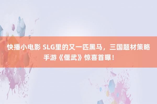 快播小电影 SLG里的又一匹黑马，三国题材策略手游《偃武》惊喜首曝！