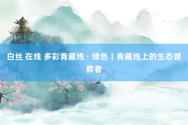 白丝 在线 多彩青藏线 · 绿色｜青藏线上的生态督察者