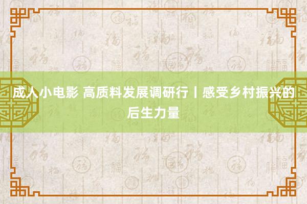 成人小电影 高质料发展调研行丨感受乡村振兴的后生力量