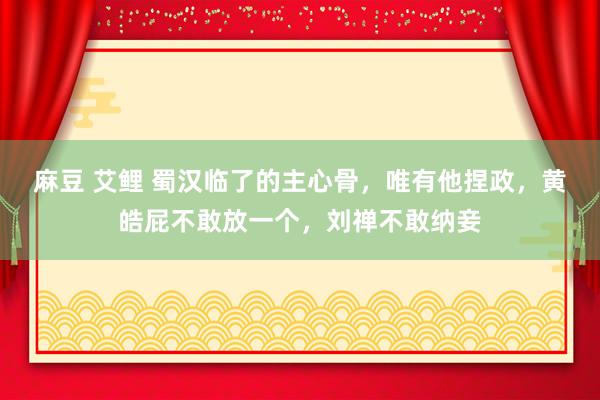 麻豆 艾鲤 蜀汉临了的主心骨，唯有他捏政，黄皓屁不敢放一个，刘禅不敢纳妾