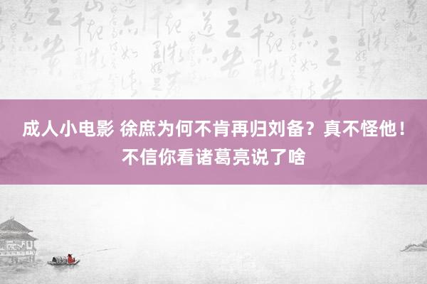 成人小电影 徐庶为何不肯再归刘备？真不怪他！不信你看诸葛亮说了啥