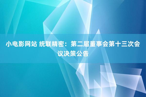 小电影网站 统联精密：第二届董事会第十三次会议决策公告