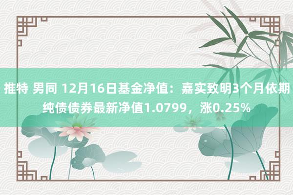 推特 男同 12月16日基金净值：嘉实致明3个月依期纯债债券最新净值1.0799，涨0.25%