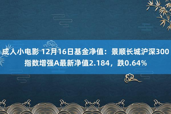 成人小电影 12月16日基金净值：景顺长城沪深300指数增强A最新净值2.184，跌0.64%