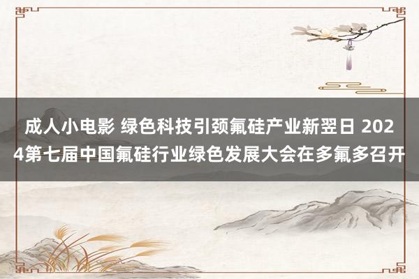 成人小电影 绿色科技引颈氟硅产业新翌日 2024第七届中国氟硅行业绿色发展大会在多氟多召开