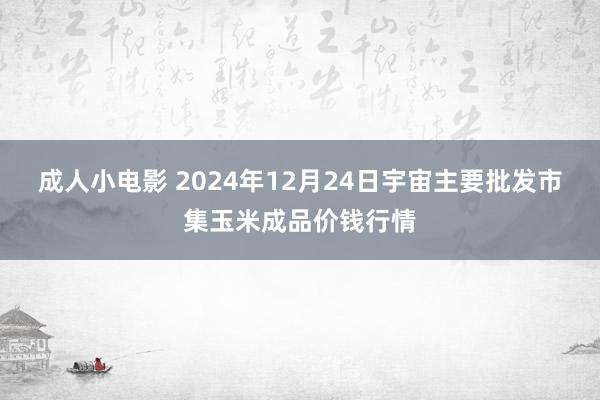 成人小电影 2024年12月24日宇宙主要批发市集玉米成品价钱行情