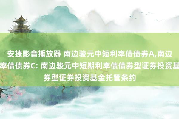 安捷影音播放器 南边骏元中短利率债债券A，南边骏元中短利率债债券C: 南边骏元中短期利率债债券型证券投资基金托管条约