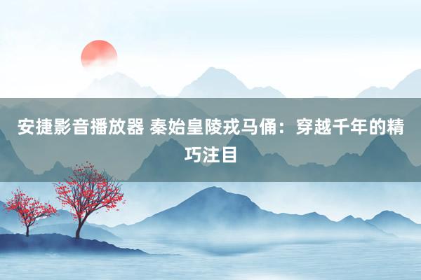 安捷影音播放器 秦始皇陵戎马俑：穿越千年的精巧注目