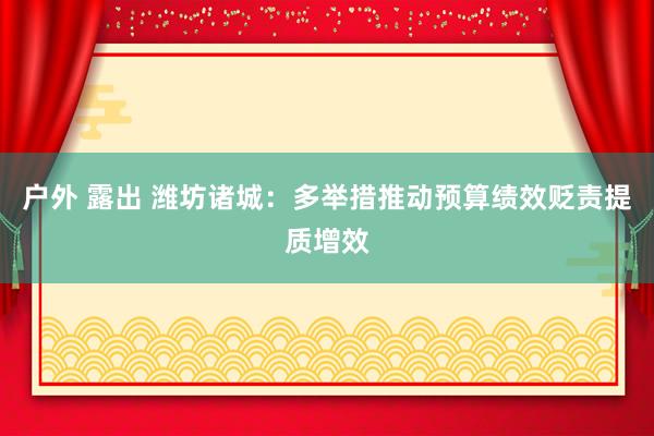 户外 露出 潍坊诸城：多举措推动预算绩效贬责提质增效