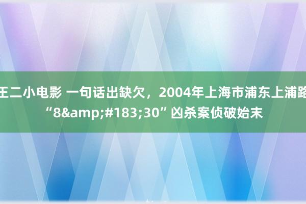 王二小电影 一句话出缺欠，2004年上海市浦东上浦路“8&#183;30”凶杀案侦破始末