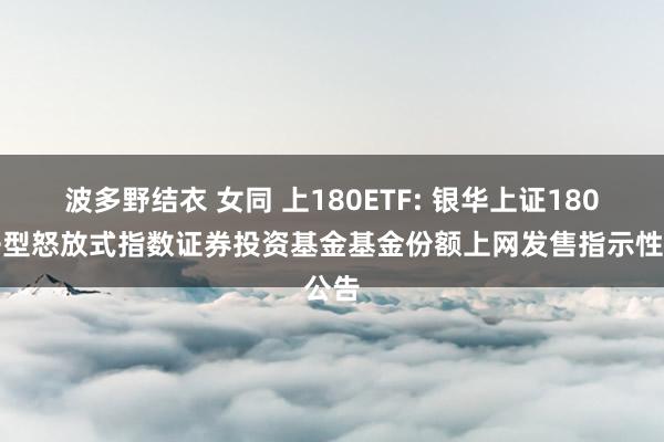 波多野结衣 女同 上180ETF: 银华上证180来去型怒放式指数证券投资基金基金份额上网发售指示性公告