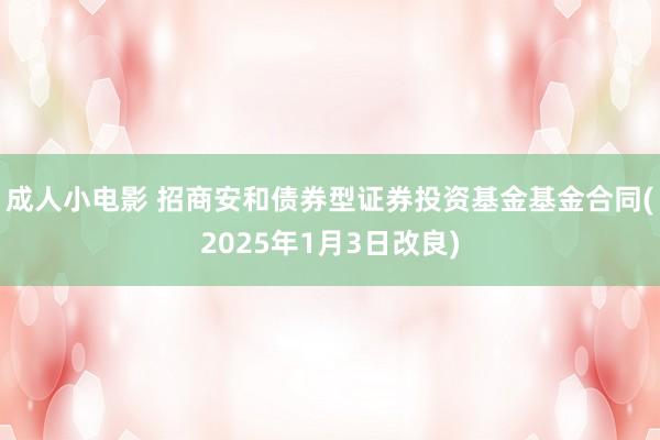 成人小电影 招商安和债券型证券投资基金基金合同(2025年1月3日改良)