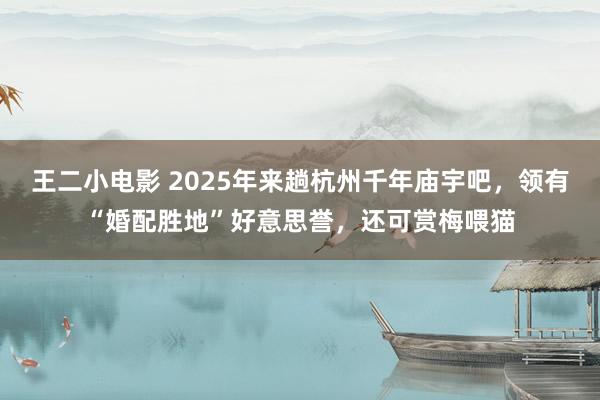 王二小电影 2025年来趟杭州千年庙宇吧，领有“婚配胜地”好意思誉，还可赏梅喂猫