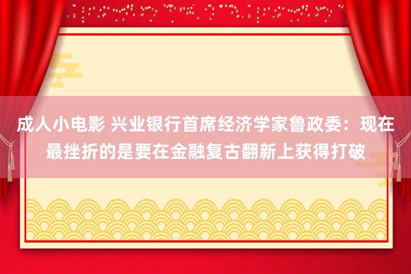 成人小电影 兴业银行首席经济学家鲁政委：现在最挫折的是要在金融复古翻新上获得打破