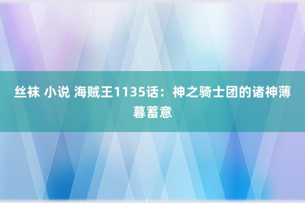 丝袜 小说 海贼王1135话：神之骑士团的诸神薄暮蓄意