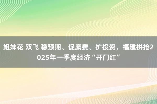 姐妹花 双飞 稳预期、促糜费、扩投资，福建拼抢2025年一季度经济“开门红”