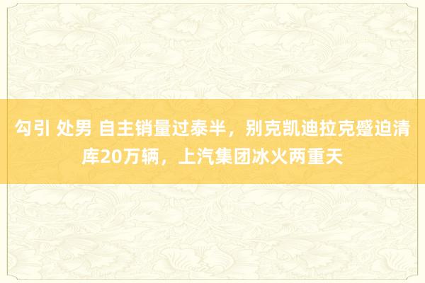 勾引 处男 自主销量过泰半，别克凯迪拉克蹙迫清库20万辆，上汽集团冰火两重天