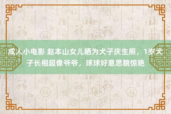 成人小电影 赵本山女儿晒为犬子庆生照，1岁犬子长相超像爷爷，球球好意思貌惊艳