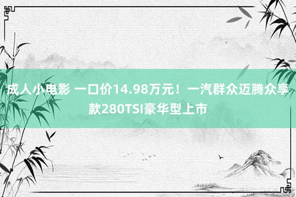 成人小电影 一口价14.98万元！一汽群众迈腾众享款280TSI豪华型上市