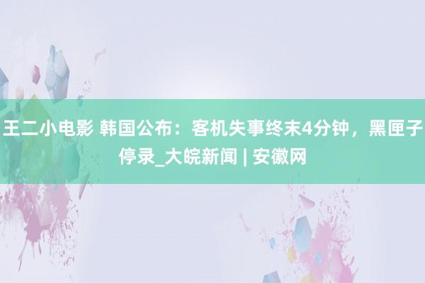 王二小电影 韩国公布：客机失事终末4分钟，黑匣子停录_大皖新闻 | 安徽网