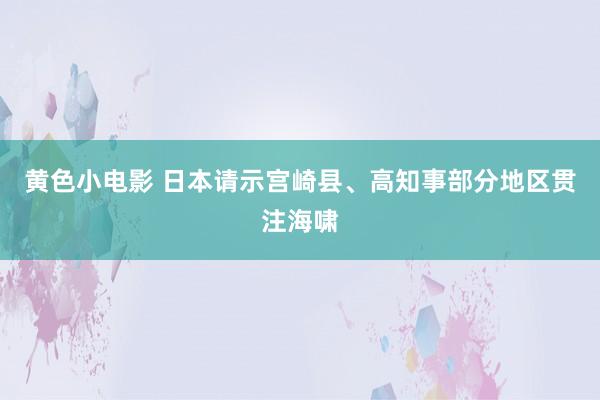 黄色小电影 日本请示宫崎县、高知事部分地区贯注海啸