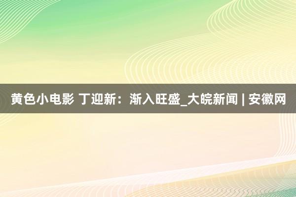 黄色小电影 丁迎新：渐入旺盛_大皖新闻 | 安徽网