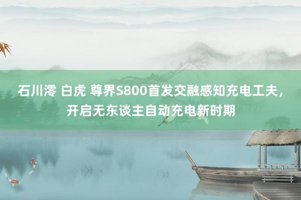 石川澪 白虎 尊界S800首发交融感知充电工夫，开启无东谈主自动充电新时期