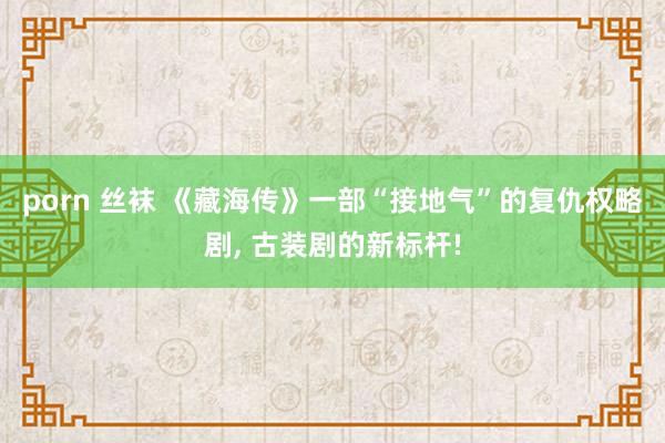 porn 丝袜 《藏海传》一部“接地气”的复仇权略剧, 古装剧的新标杆!